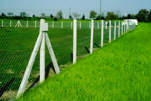 Poles